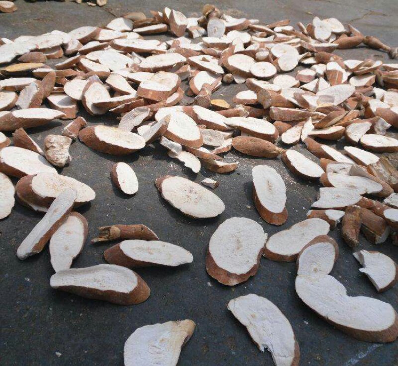 木薯干木薯酒精糖蜜木薯木薯酒糟有机肥